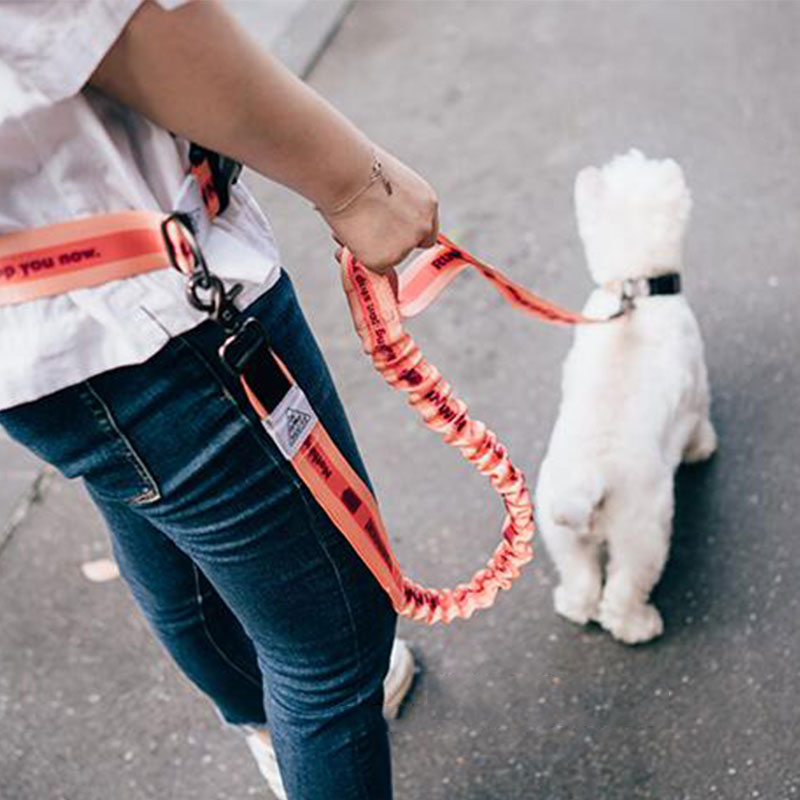 Running Gear Dog - Adjustable Hand Free Dog Leash for