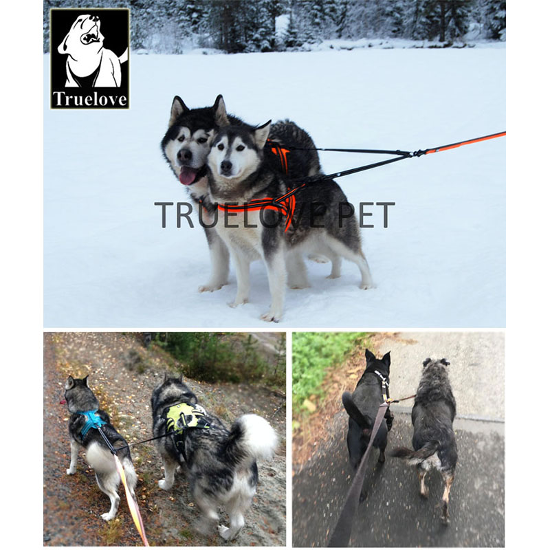Truelove Nylon Double Dog Leas - Running Gear Dog review and price