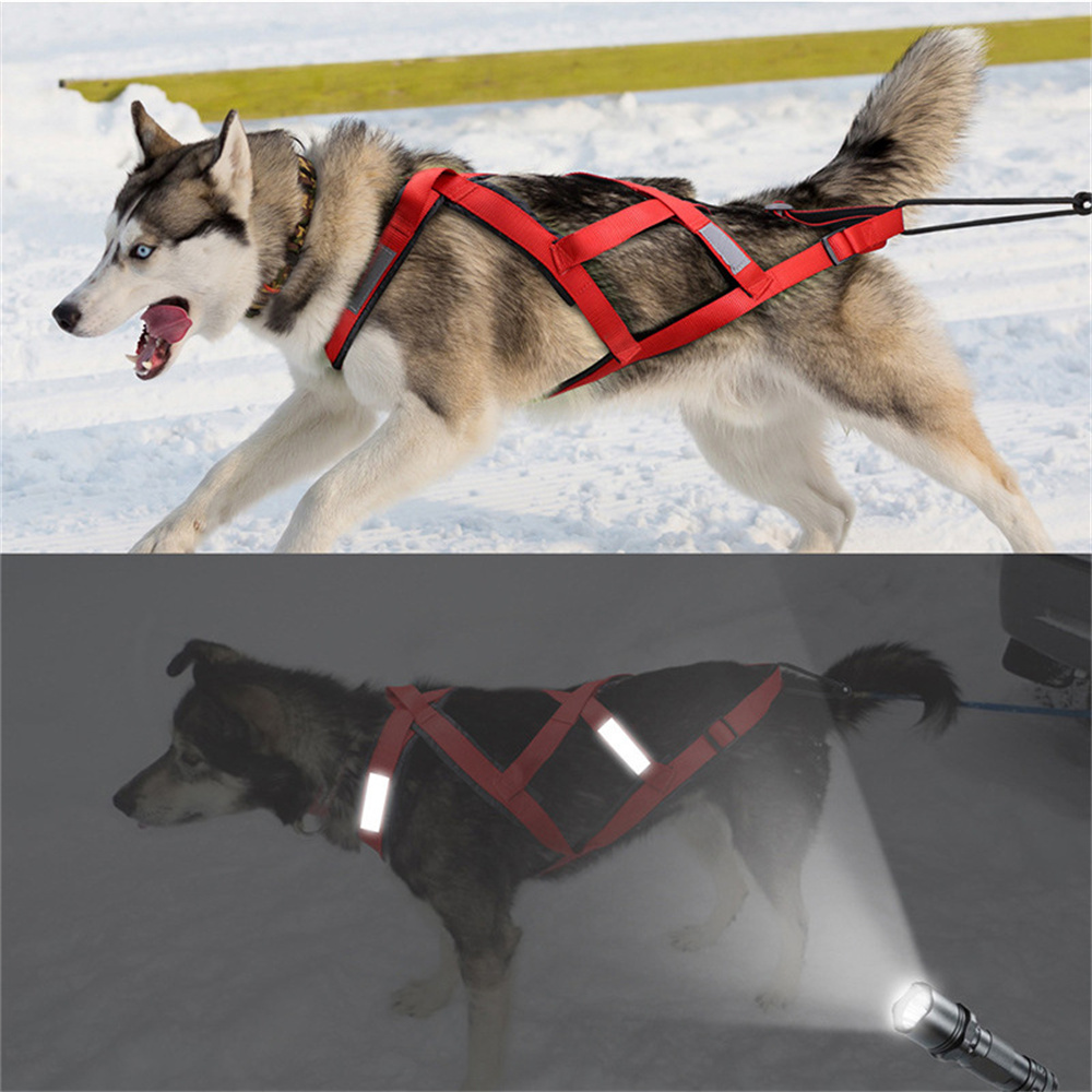 High Quality Big Dog Sledge Ha - Running Gear Dog review and price