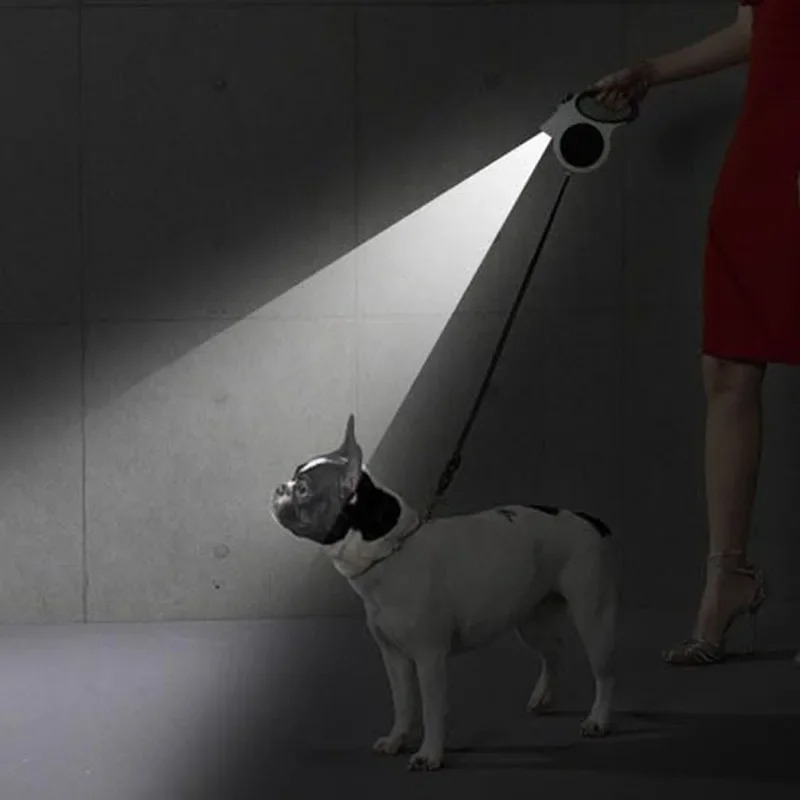 1Pcs Illuminated Retractable D - Running Gear Dog review and price