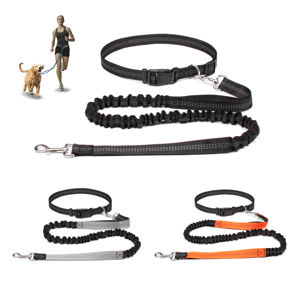 Hand Free Dog Leash for Pet Wa - Running Gear Dog review and price