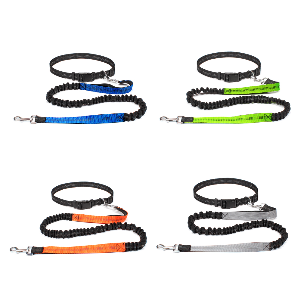 Hand Free Dog Leash for Pet Wa - Running Gear Dog review and price