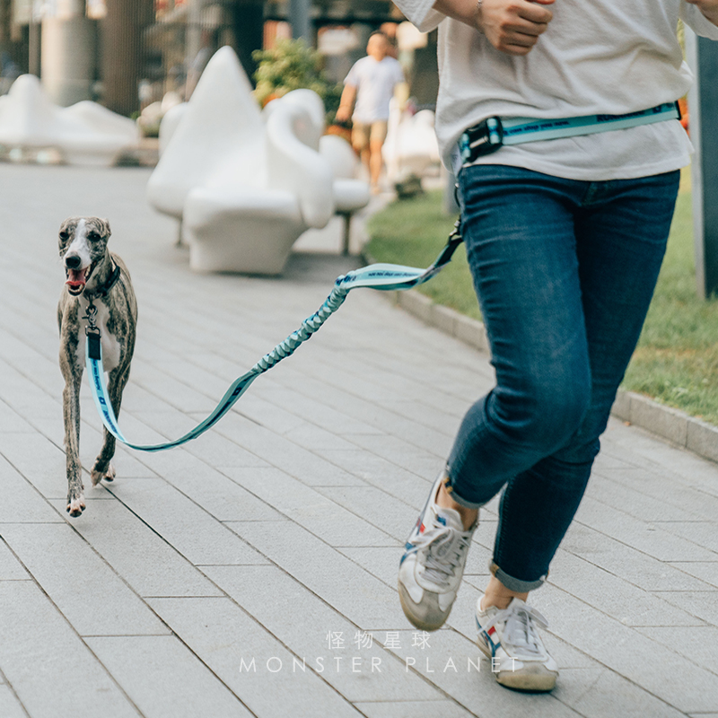 Adjustable Hand Free Dog Leash - Running Gear Dog review and price