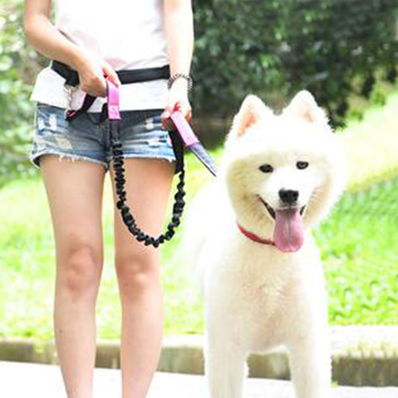 Adjustable Hand Free Dog Leash - Running Gear Dog review and price