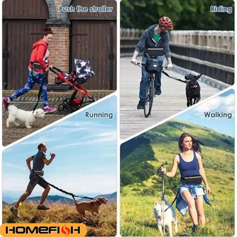 Hands‑Free Reflective Dog Leas - Running Gear Dog review and price