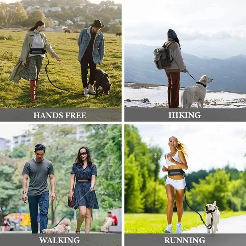 Hands‑Free Reflective Dog Leas - Running Gear Dog review and price