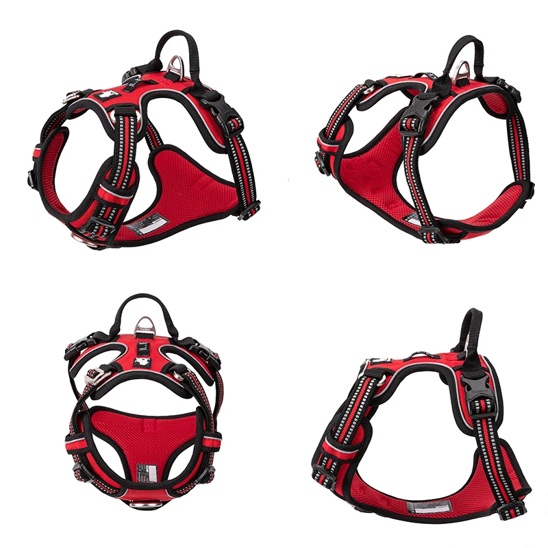Truelove Pet Reflective Nylon  - Running Gear Dog review and price