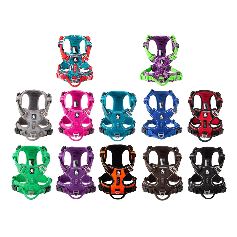 Truelove Pet Reflective Nylon  - Running Gear Dog review and price
