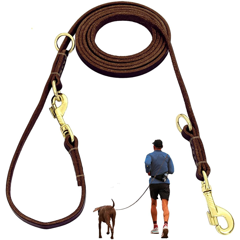 Multi Function Leather Dog Lea - Running Gear Dog review and price
