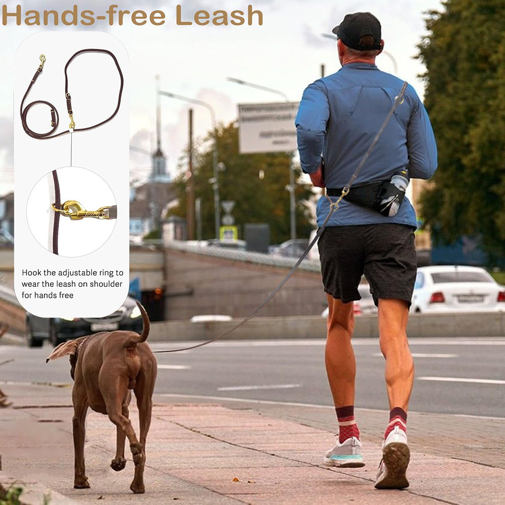 Multi Function Leather Dog Lea - Running Gear Dog review and price