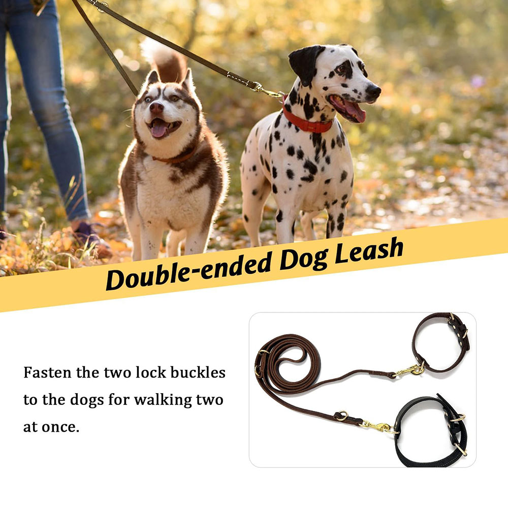 Multi Function Leather Dog Lea - Running Gear Dog review and price