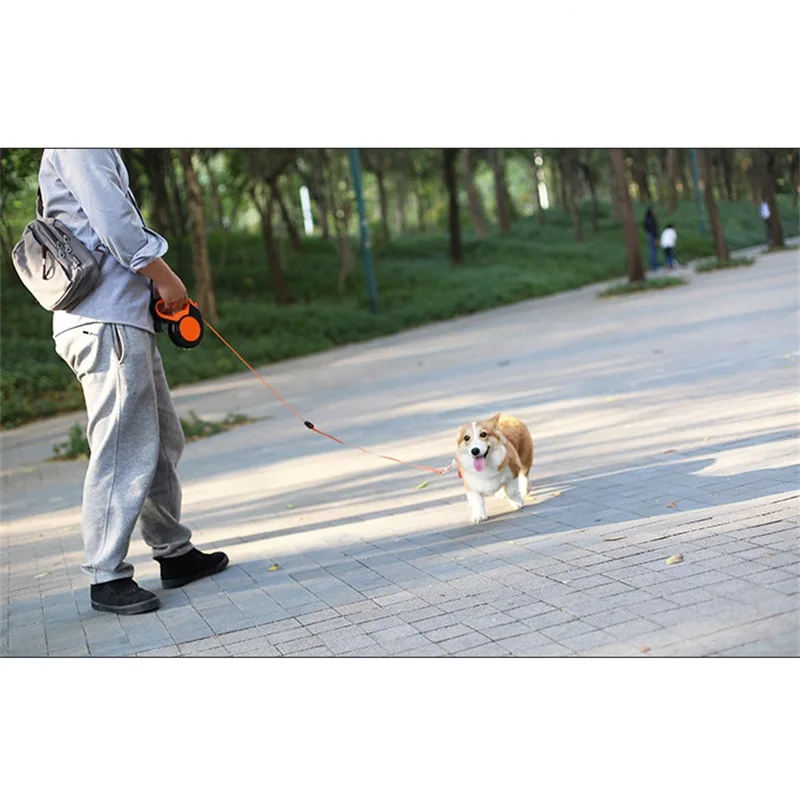3M/5M/8MRetractable Dog Leash  - Running Gear Dog review and price
