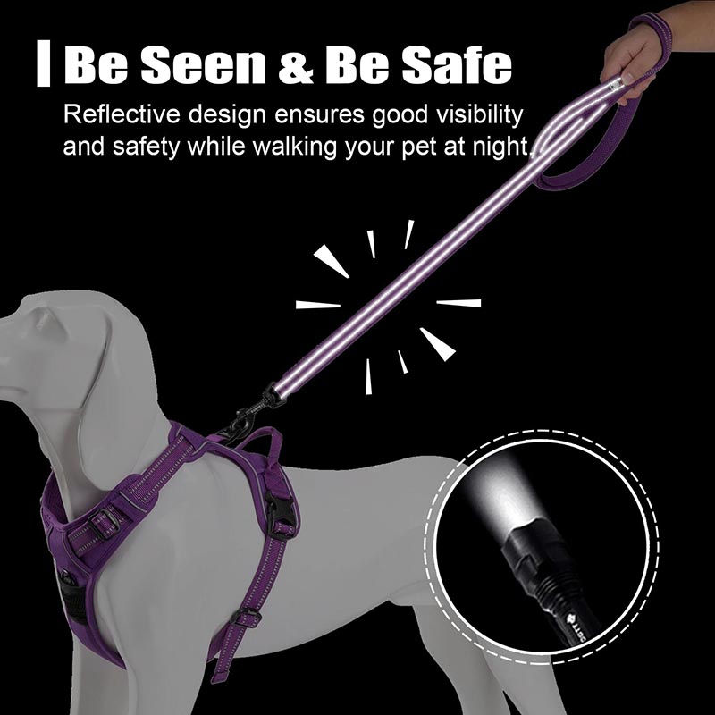 Truelove 200Cm Nylon Dog Lead  - Running Gear Dog review and price