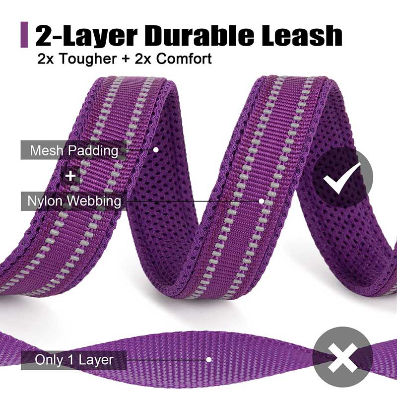 Truelove 200Cm Nylon Dog Lead  - Running Gear Dog review and price