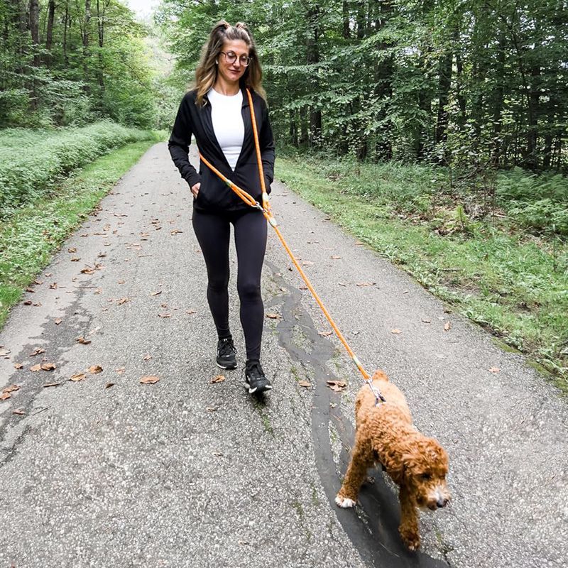 Reflective Hands-Free Dog Leas - Running Gear Dog review and price